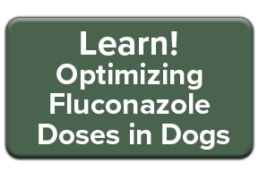 Optimizing Fluconazole Doses in Dogs